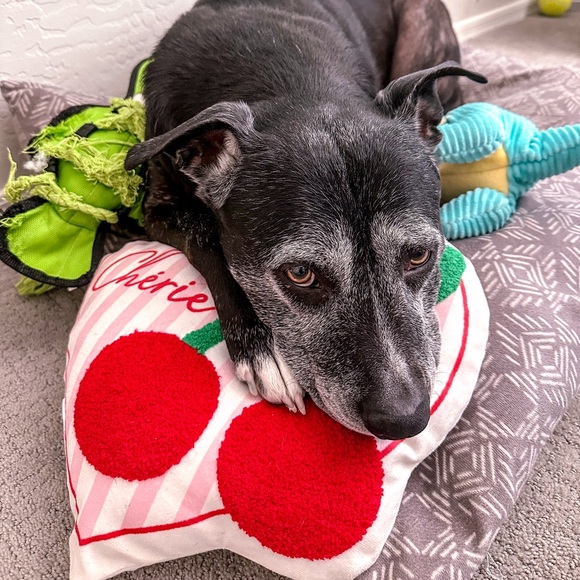 Meet your Posher! ๐๐ฝโโ๏ธ - Picture 1 of 1